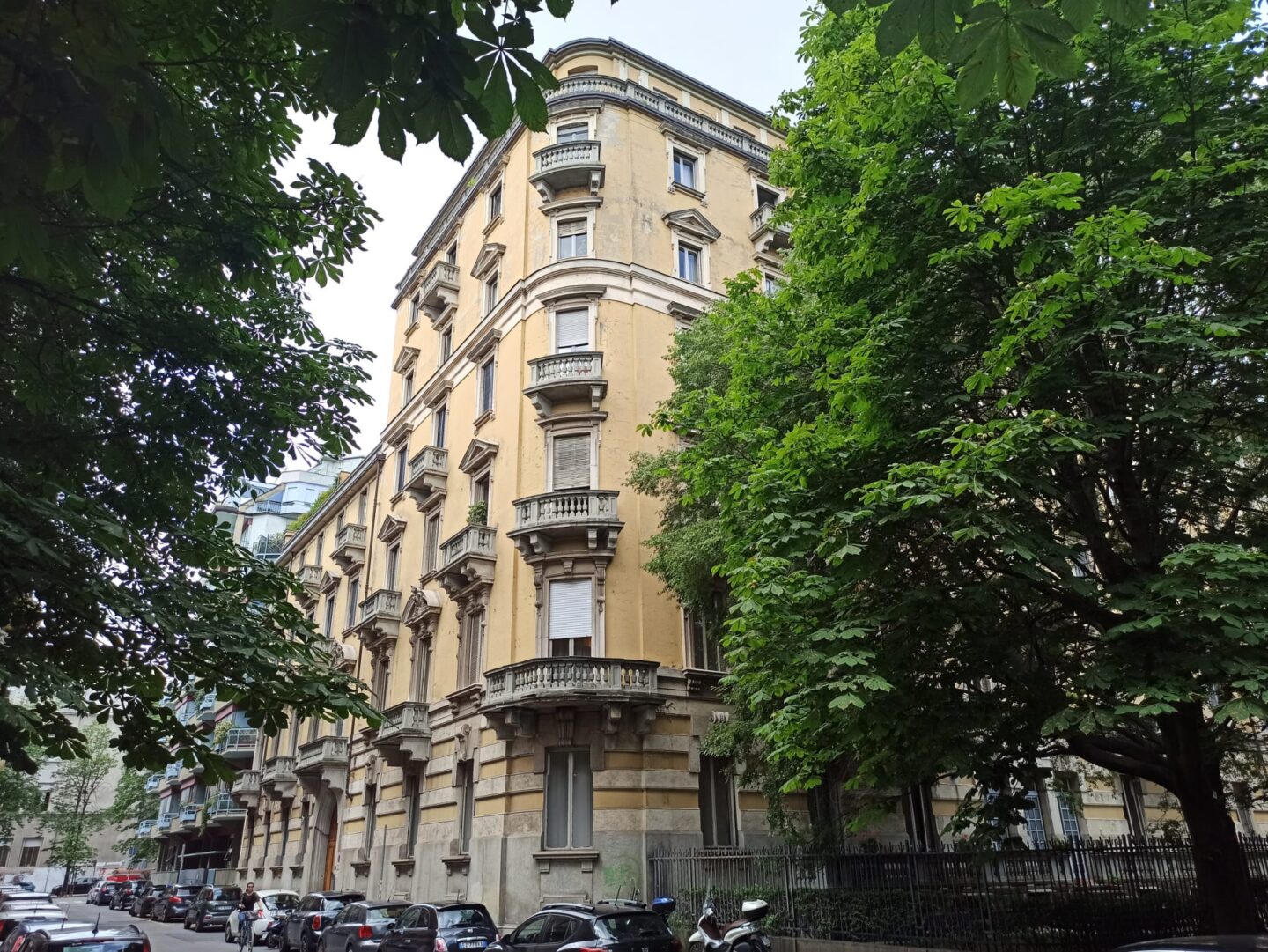 Studio Cocciolito